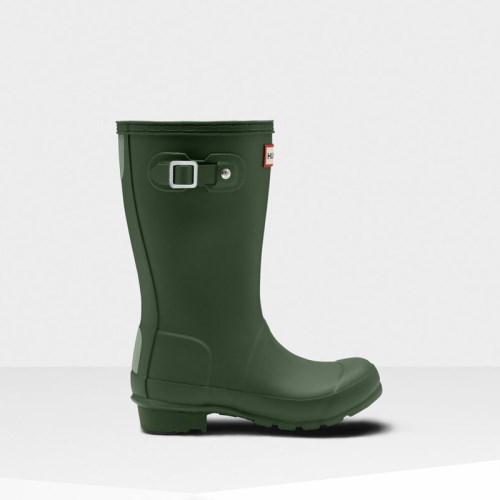 Hunter Original Wellies (H534D) Ireland